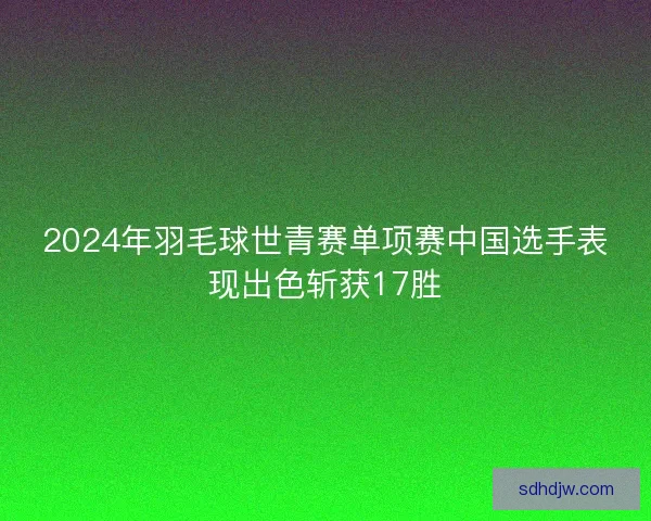 2024年羽毛球世青赛单项赛中国选手表现出色斩获17胜